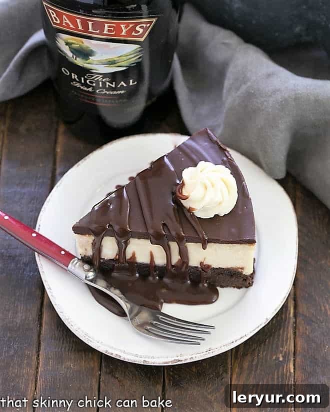 Overhead view of a slice of brownie cheesecake garnished with whipped cream and fudge sauce, presented beautifully on a plate.