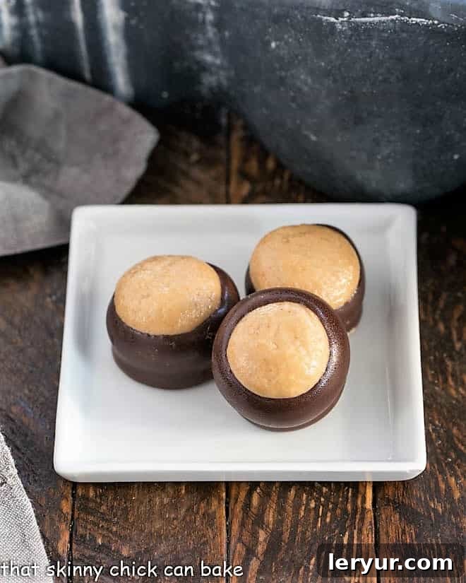 Chocolate Peanut Butter Balls - AKA Buckeyes are an easy confection with only 6 ingredients! Reeses lovers will go crazy for these bon bons! Close-up of three exquisite Chocolate Peanut Butter Bon Bons, nestled on a square white plate, showcasing their smooth chocolate coating and tempting peanut butter centers.