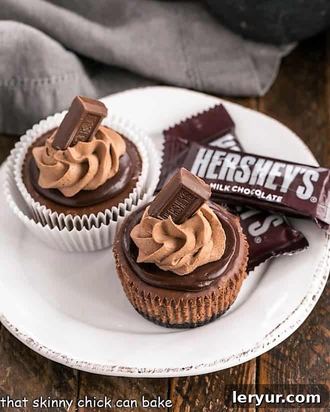 Two decadent chocolate mini cheesecakes, each featuring an Oreo cookie crust, rich chocolate cheesecake filling, glossy ganache, and fluffy chocolate whipped cream, presented elegantly on a white plate. These individual chocolate cheesecakes are perfect for satisfying cravings and controlling portions.