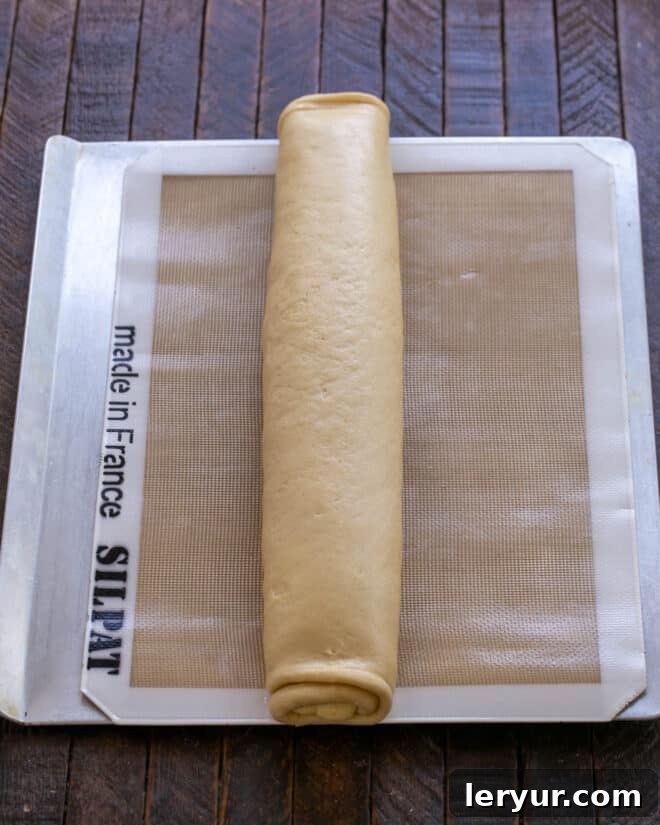 The dough carefully rolled from the wider side into a neat, uniform cylinder.