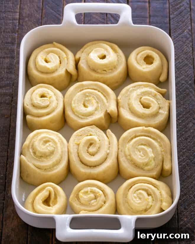 The orange rolls in the baking dish, now doubled in size after their second proofing, demonstrating a successful rise.
