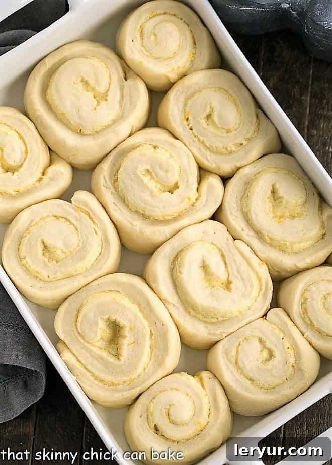 Sweet Orange Rolls gracefully rising in a 9 x 13 ceramic baking dish, visibly puffed up and ready for the oven, showcasing the successful proofing process.