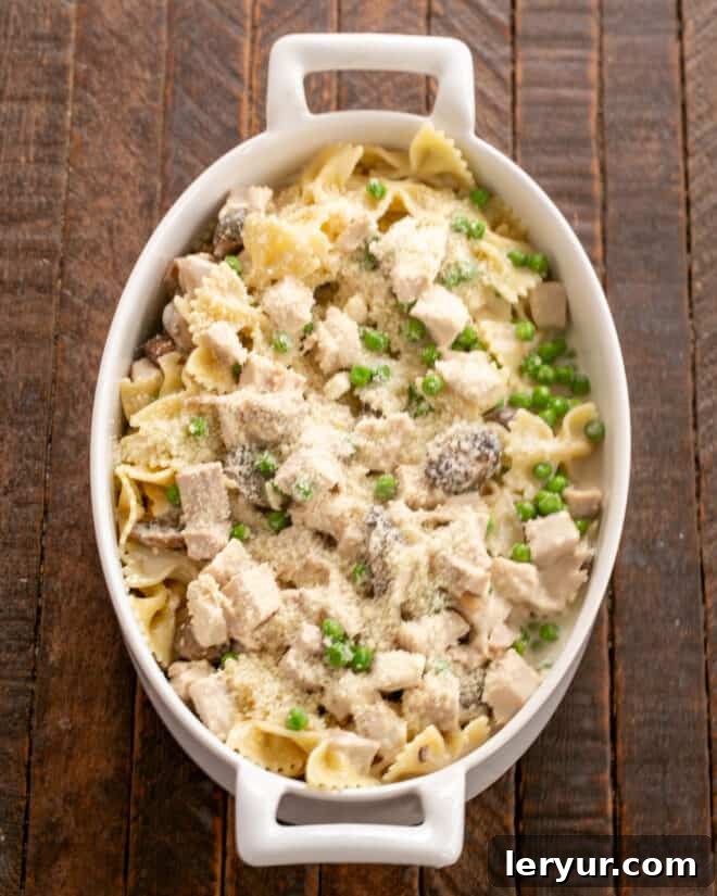 Creamy Homestyle Turkey Tetrazzini 6 The tetrazzini mixture scooped into a greased casserole dish, topped with Parmesan cheese and ready for baking.