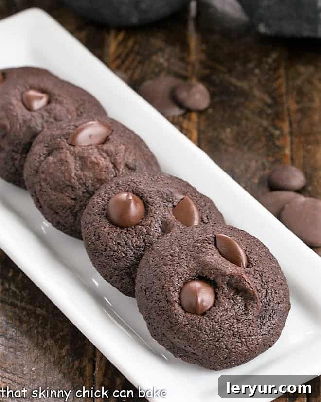 A trio of bite-sized double chocolate cookies artfully arranged on a narrow white ceramic tray, emphasizing their dark, rich appearance and the visible chocolate chips.