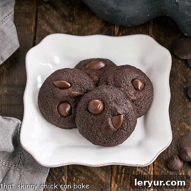A close-up image of a perfectly baked Double Chocolate Cookie Bite, showcasing its rich texture and chocolate chips.